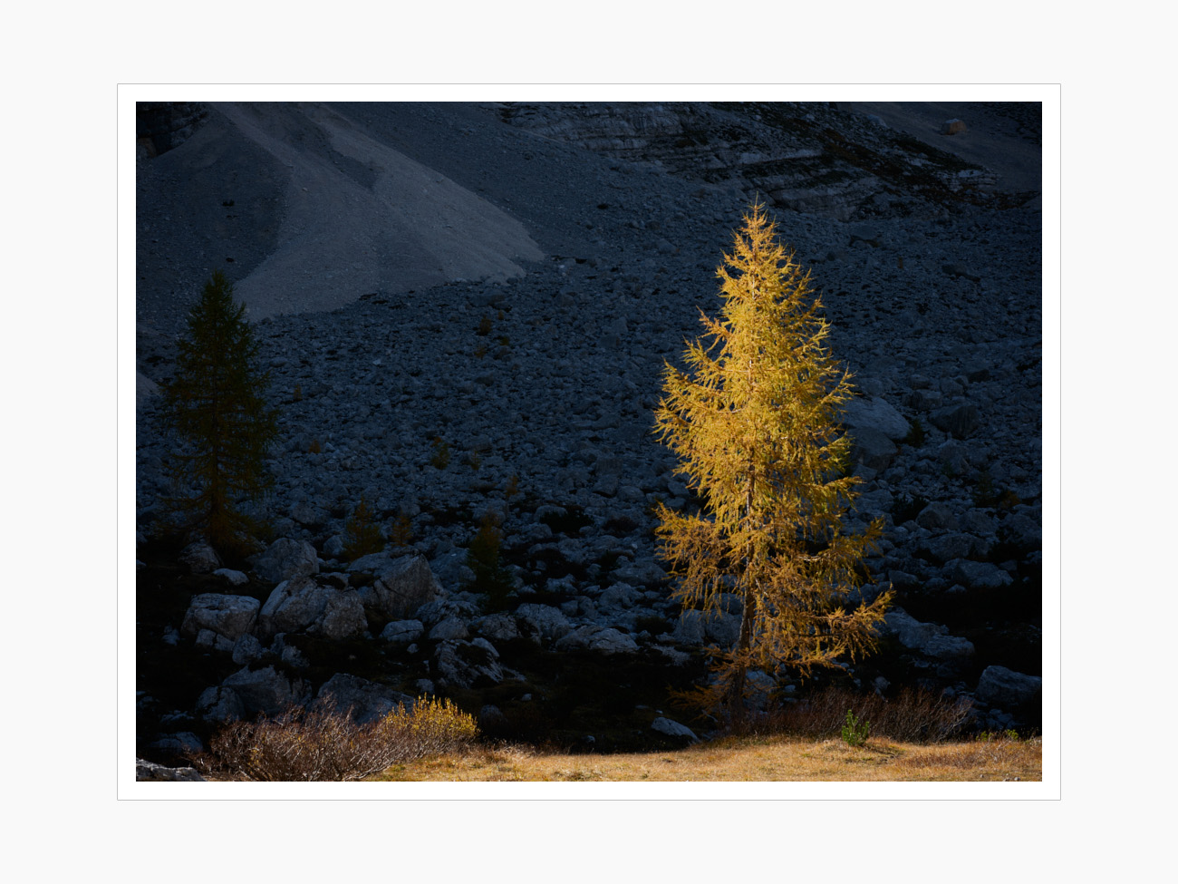 Max Schiefele Selects  DSF1461