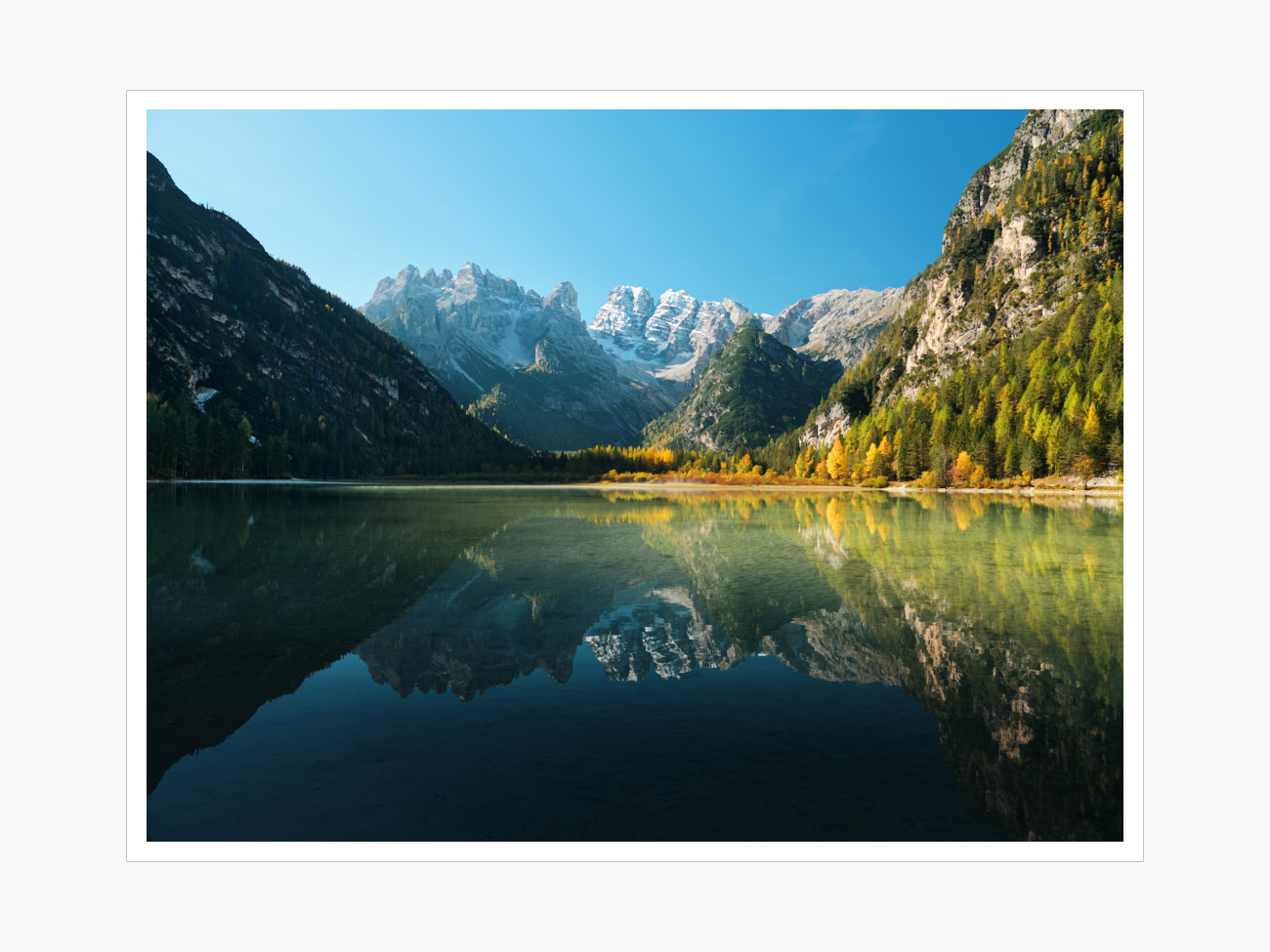 Max Schiefele Selects  DSF1630