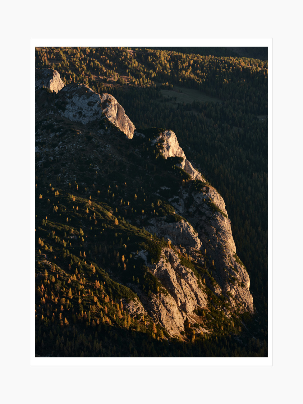 Max Schiefele Selects  DSF1782