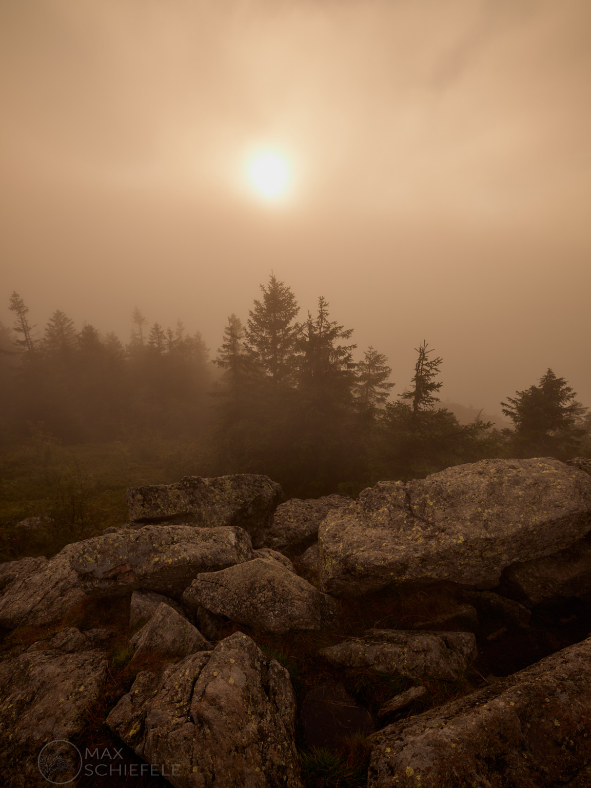 Auf dem großen Arber